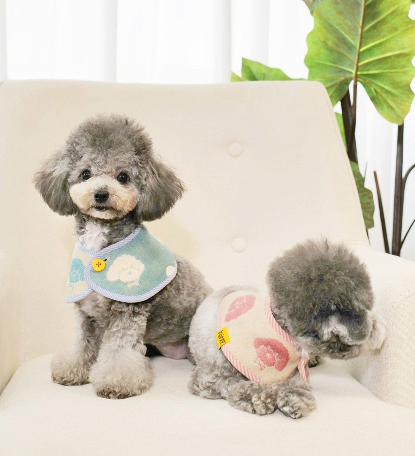 PuppyPuppy - babyblue & babypink