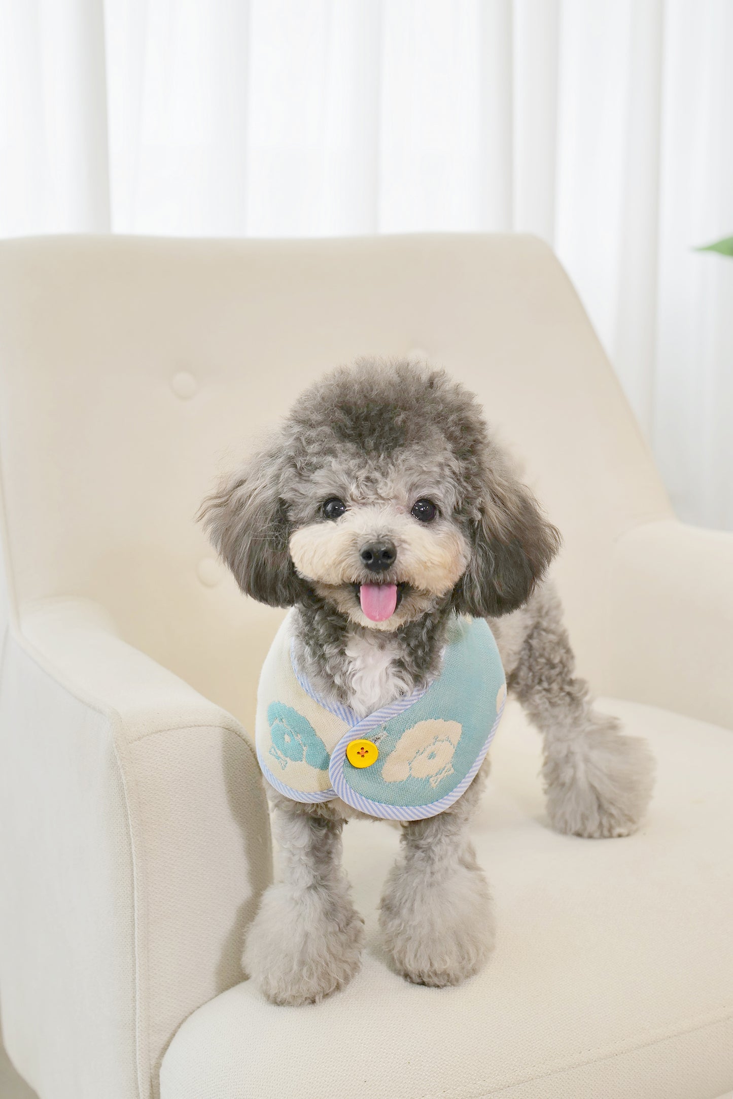 PuppyPuppy - babyblue & babypink