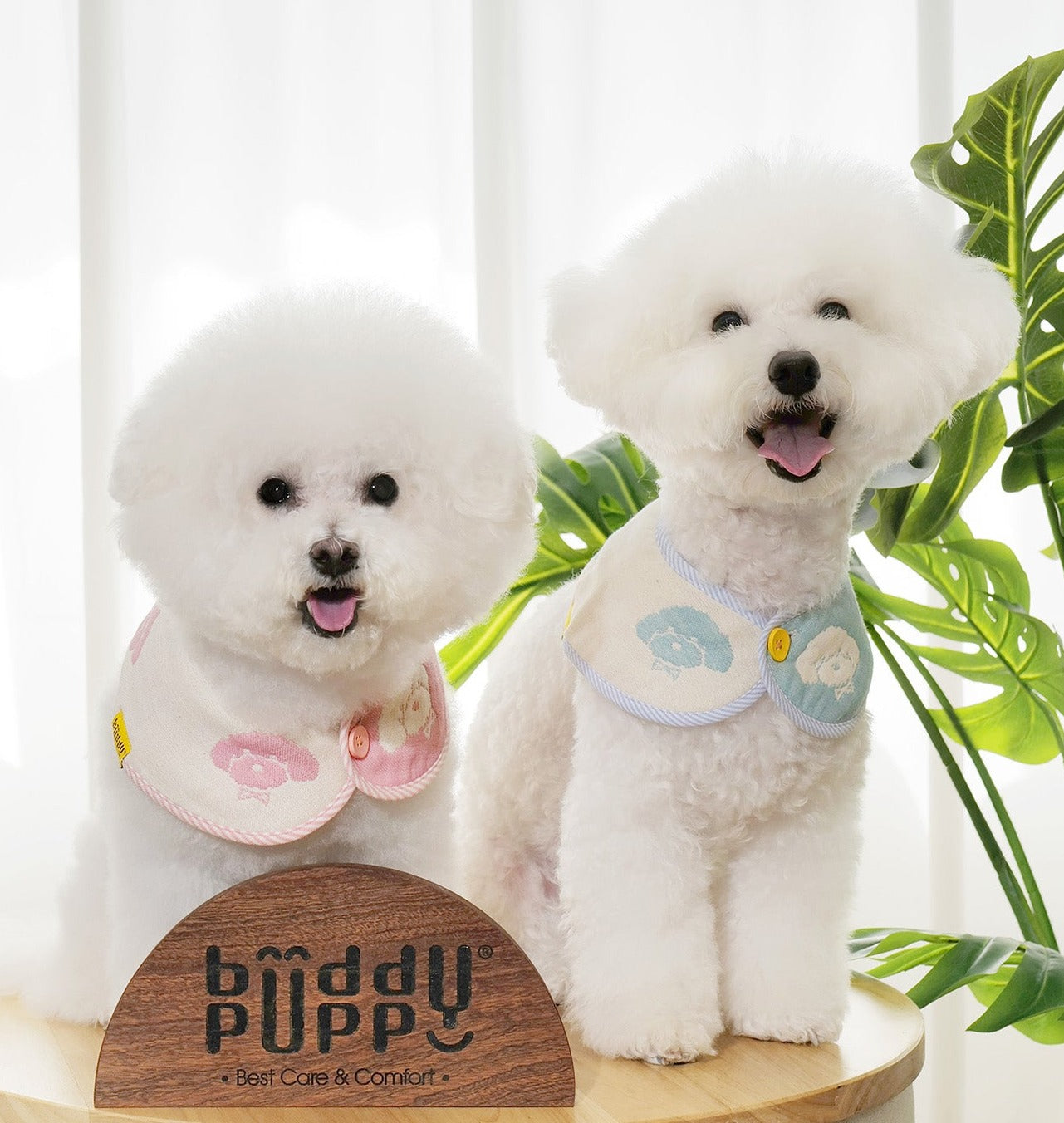 PuppyPuppy - babyblue & babypink