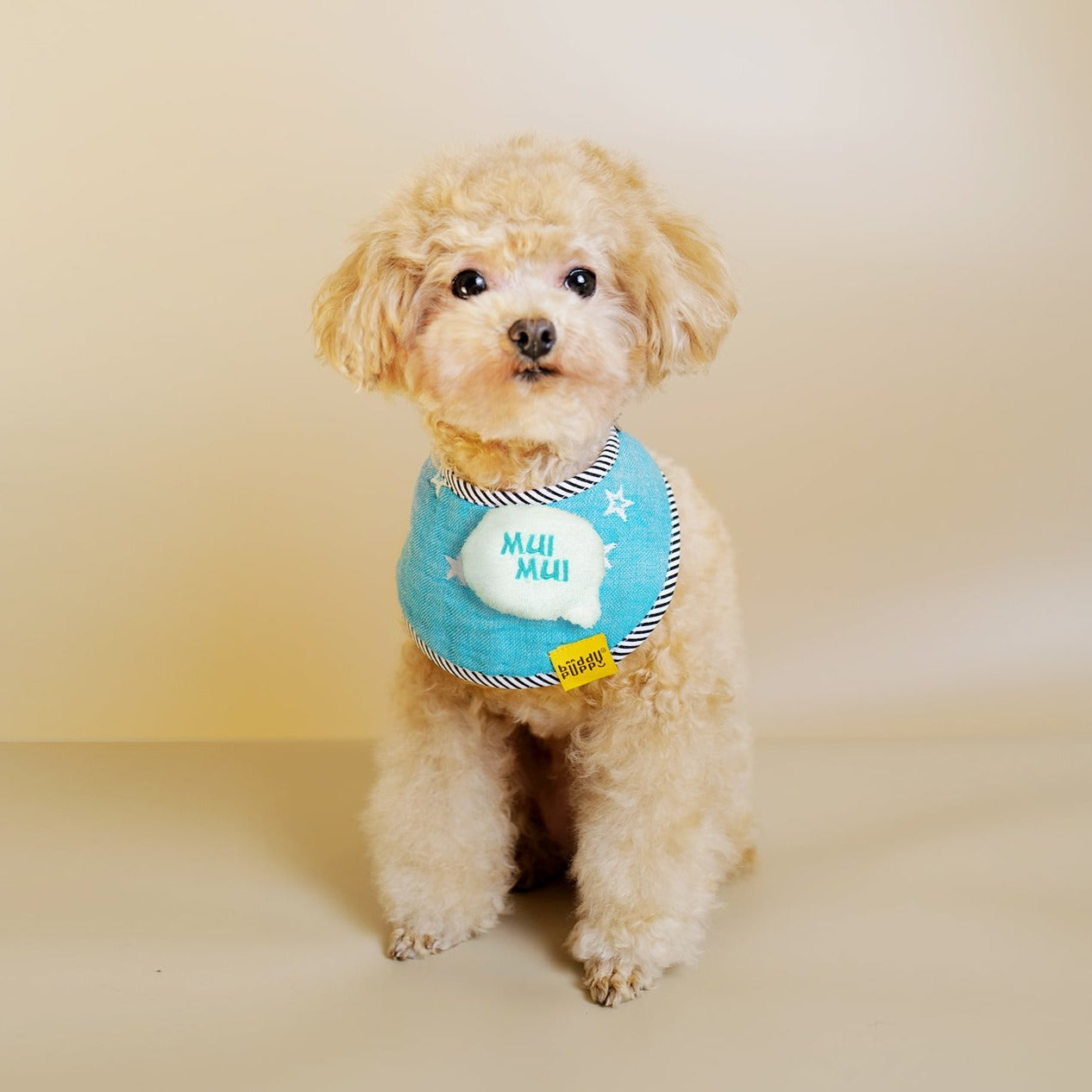 HappyStars (Embroidered Name)